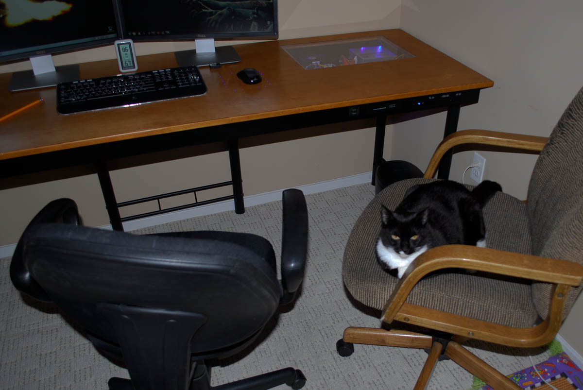 Cat proof clearance computer desk